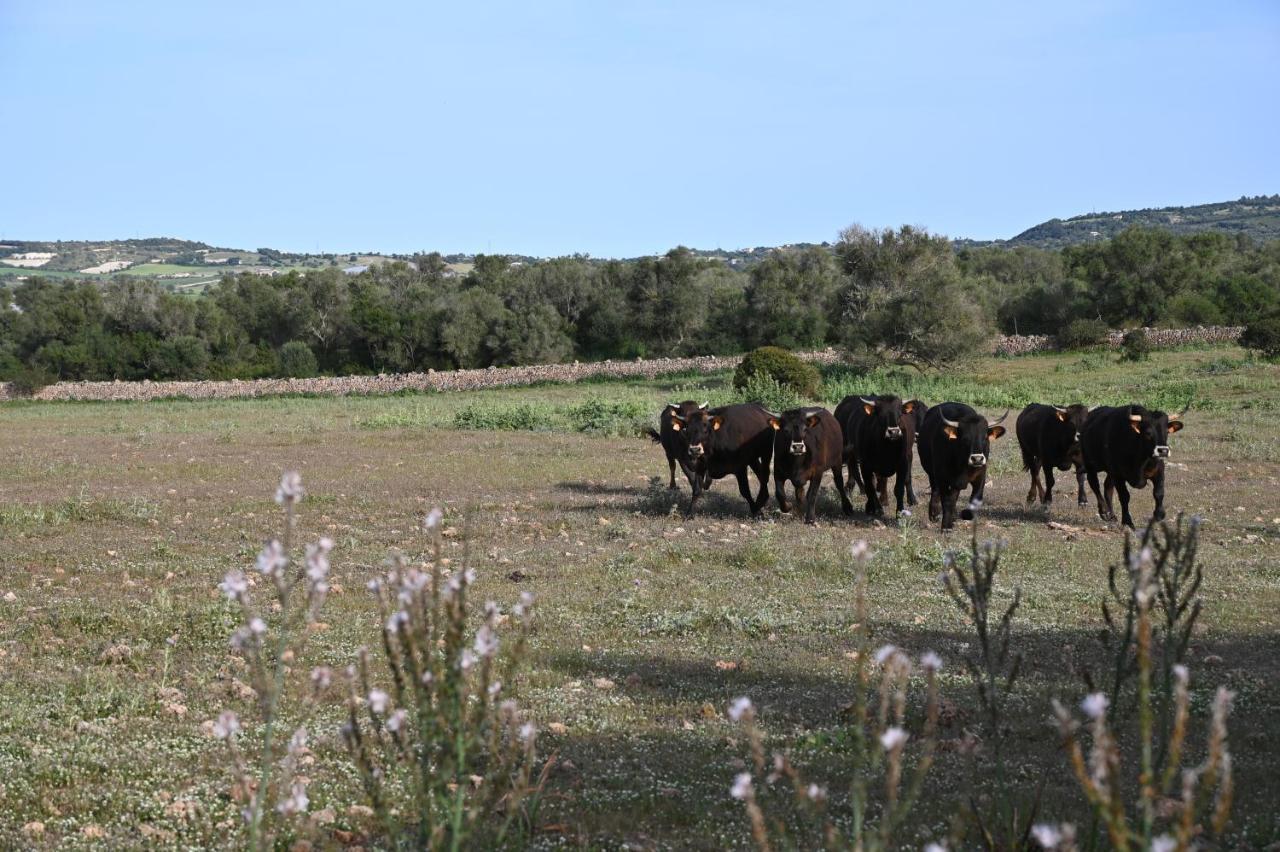 Finca Sa Cova Vella Manacor  Exterior photo
